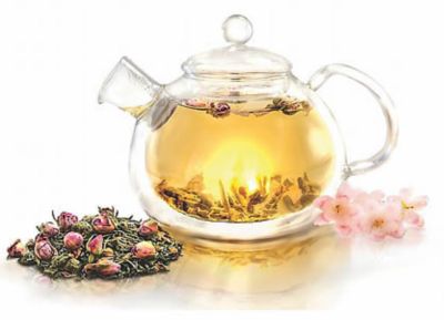 Teavana Small Dragonfly Cast Iron Teapot, Red